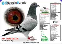 KADİR ARSLAN