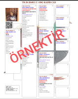 ÖRNEK PEDİGRE GÖRSELİ