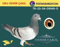 ORJ: DEMİR ÇAKIL