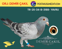 ORJ:DEMİR ÇAKIL