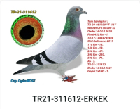 ORJ OGÜN KÖSE
