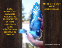BABA TARAFI OGÜN KÖSE