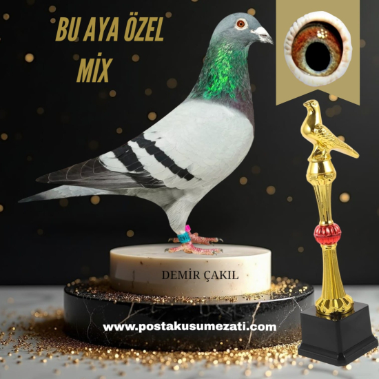 BU AYA ÖZEL  MİX